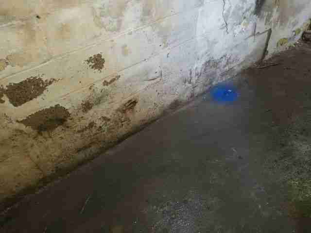 Testing again(60).jpg